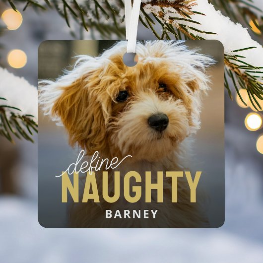 Definieer Naughty Pet Foto Kerstmis Metalen Ornament