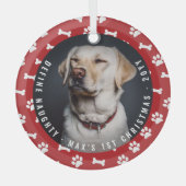 Definieer ondeugende foto Funny Pet's Eerste Kerst Glas Ornament (Voorkant)