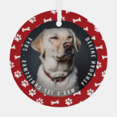 Definieer ondeugende foto Funny Pet's Eerste Kerst Glas Ornament (Achterkant)