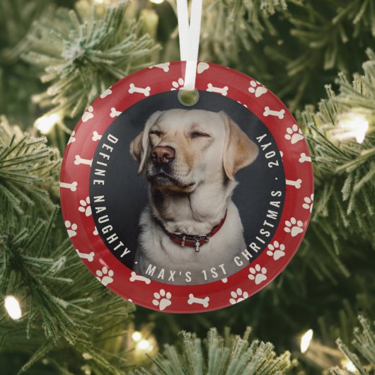 Definieer ondeugende foto Funny Pet's Eerste Kerst Glas Ornament (Insitu)