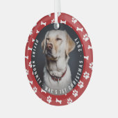 Definieer ondeugende foto Funny Pet's Eerste Kerst Glas Ornament (Voorkant links)