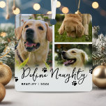 Definieer ondeugende grappige huisdier kerst metalen ornament<br><div class="desc">Kerst ornament met 3 aangepaste foto's van uw hond of kat,  het grappige gezegde 'Definieer ondeugend',  uw dierennaam en het jaar.</div>