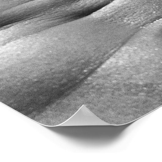 Definitie van buik en bicep poster (Hoek)