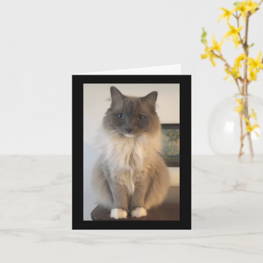 Definitie van CAT Kaart (Gele Bloem)