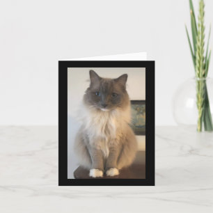 Definitie van CAT Kaart