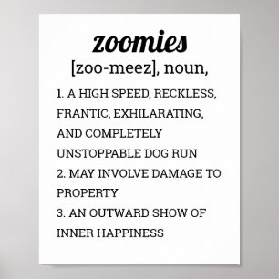 DEFINITIE ZOOMIEËN POSTER