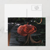 Definitieve Benadering Briefkaart (Voorkant / Achterkant)