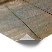 Degas Two Ballet Dancers Poster (Hoek)