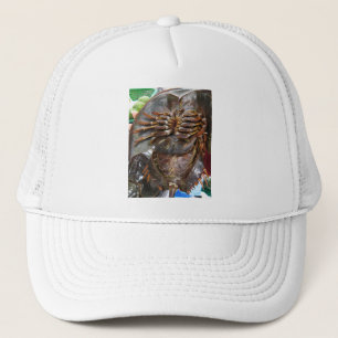 Degengste Krab ... Thais Asiatisch Straatvoedsel Trucker Pet