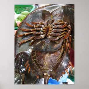 Degenschoen Krab ... Thais Aziatisch Straatvoedsel Poster