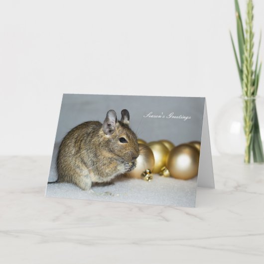 Degu & Baubles - Kerstgroeten Feestdagen Kaart (Voorkant)