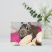 Degu Behind Fallen Teddy Bear Briefkaart (Staand voorkant)