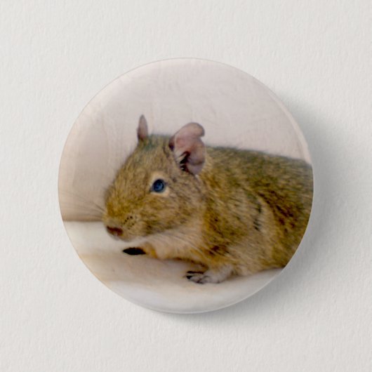Degu Button (Voorkant)