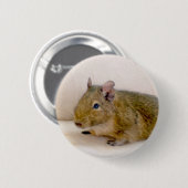 Degu Button (Voorkant /achterkant)