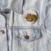 Degu Button (In situ)
