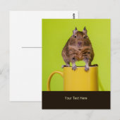 Degu die op een Mok zit Briefkaart (Voorkant / Achterkant)