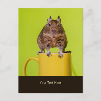 Degu die op een Mok zit Briefkaart