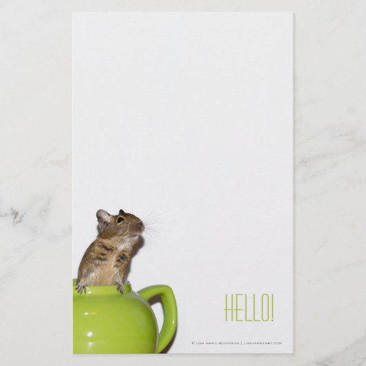Degu in een Teapot 'Hallo' Briefpapier (Voorkant)