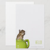 Degu in een Teapot 'Hallo' Briefpapier (Voorkant / Achterkant)