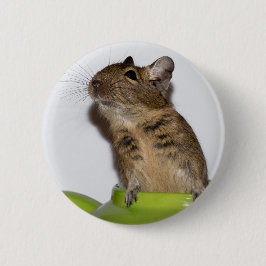 Degu in groene foto ronde button 5,7 cm
