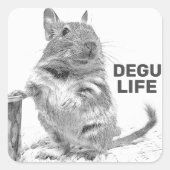 DEGU LIFE VIERKANTE STICKER (Voorkant)