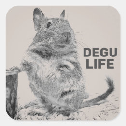 DEGU LIFE VIERKANTE STICKER