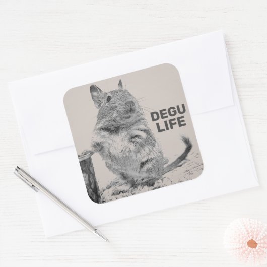 DEGU LIFE VIERKANTE STICKER (Envelop)