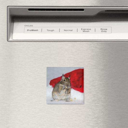 Degu met Santa Hat Feestelijk Magneet (Insitu (Vaatwasser))