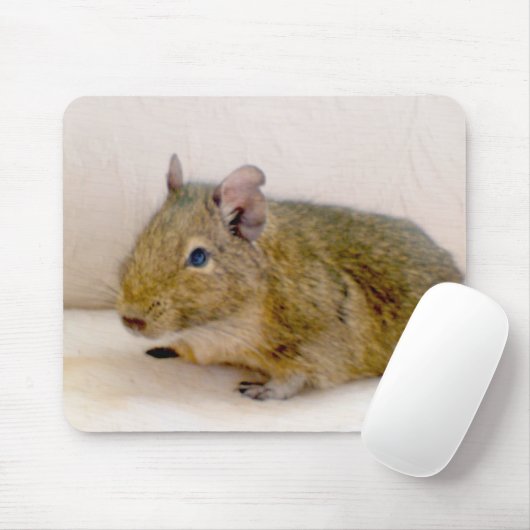 Degu Mousepad Muismat (Met muis)