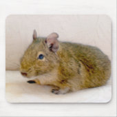 Degu Mousepad Muismat (Voorkant)
