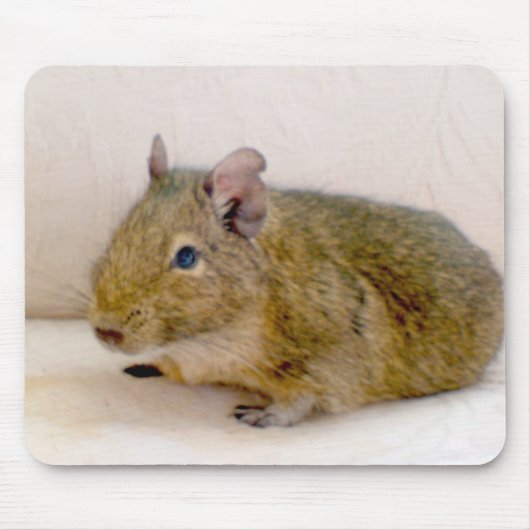 Degu Mousepad Muismat (Voorkant)