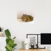 Degu Print (Thuiskantoor)