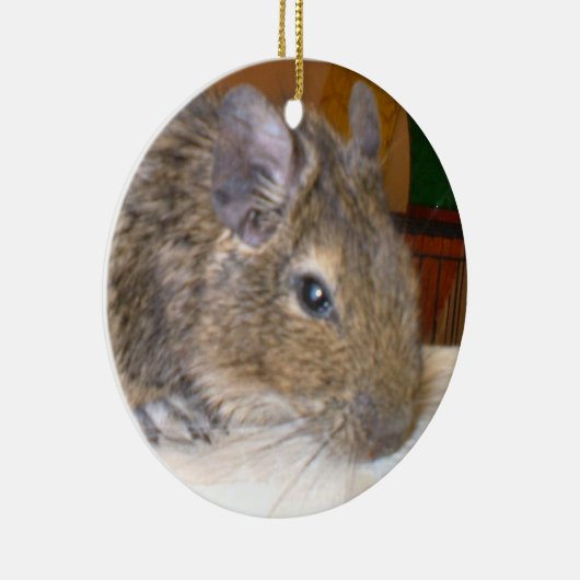 Degu Relaxing Ik hou van Degus Ornament (Rechts)