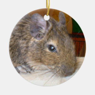 Degu Relaxing Ik hou van Degus Ornament