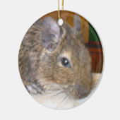 Degu Relaxing Ik hou van Degus Ornament (Links)