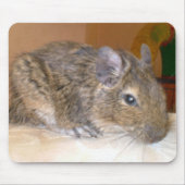Degu relaxing Mousepad Muismat (Voorkant)