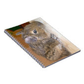 Degu Relaxing Notitieboek (Rechterzijde)