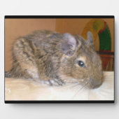 Degu Relaxing Plaque Fotoplaat (Voorkant)