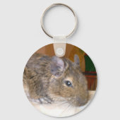 Degu Relaxing Sleutelhanger (Voorkant)