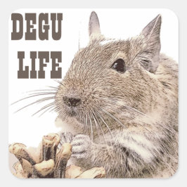► DEGU ► Rodents Vierkante Sticker