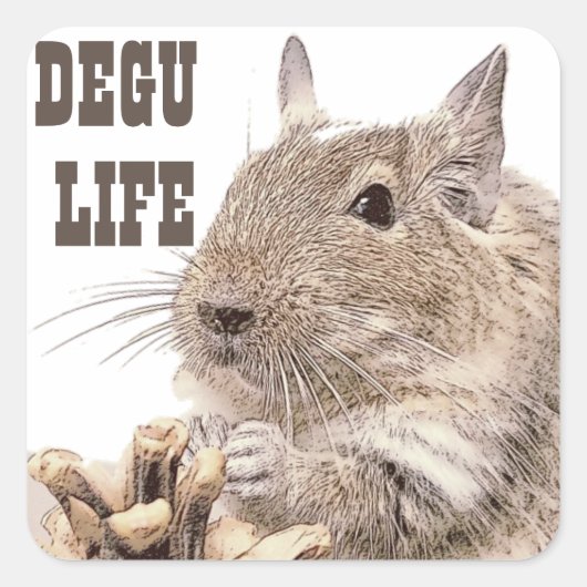 ► DEGU ►   Rodents Vierkante Sticker (Voorkant)