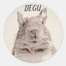 ♧ DEGU ♧ RONDE STICKER