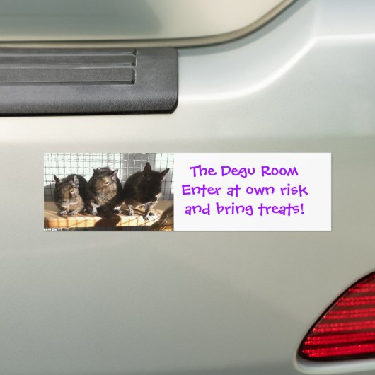 Degu room sticker (Op auto)