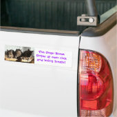 Degu room sticker (Op Truck)