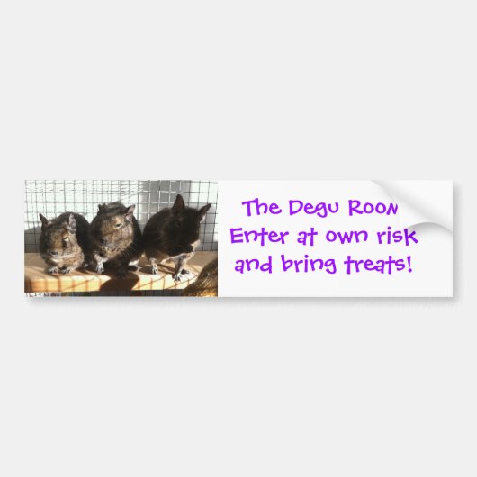 Degu room sticker (Voorkant)