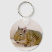 Degu Sleutelhanger (Voorkant)