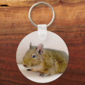 Degu Sleutelhanger (Voorkant)