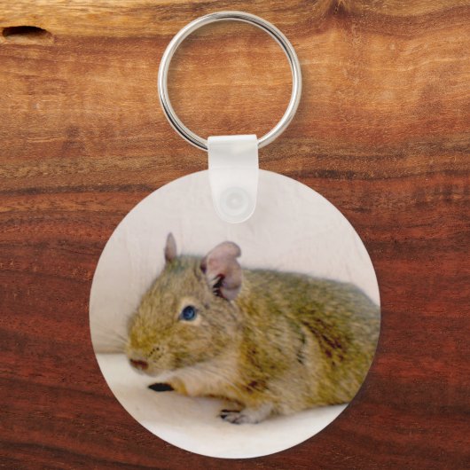 Degu Sleutelhanger (Voorkant)