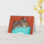 Degus in Koffie Tin 'Hi' Kaart (Gele Bloem)