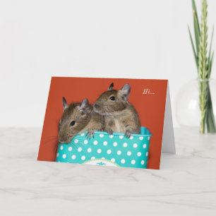 Degus in Koffie Tin 'Hi' Kaart